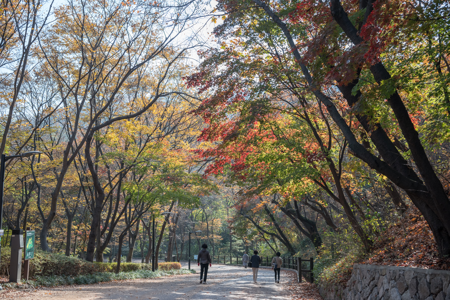 서울단풍명소 남산둘레길