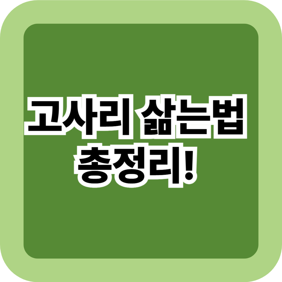 고사리 삶는법 총정리! 생고사리·건고사리·말린 고사리 완벽 가이드