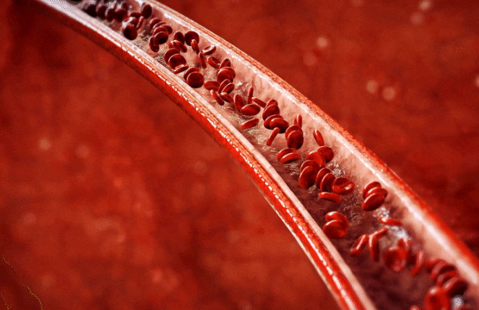 리서처스 투비컷