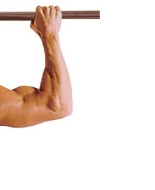 λ°λ리ννΈ μμΈ μ€λ²κ·Έλ¦½