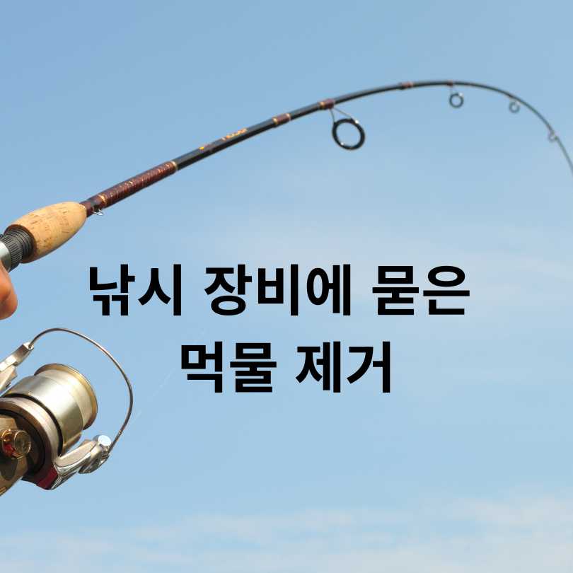 오징어 먹물 지우는 방법 총정리