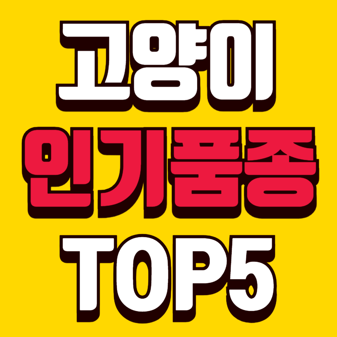 고양이 품종 중 가장 인기 많은 TOP 5 처음 키우기 좋은 고양이는?
