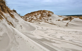 요양보호사 자격증 취득방법 9