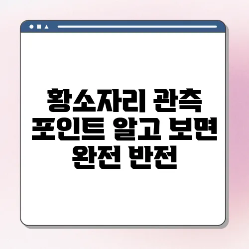 황소자리 관측 포인트 알고 보면 완전 반전