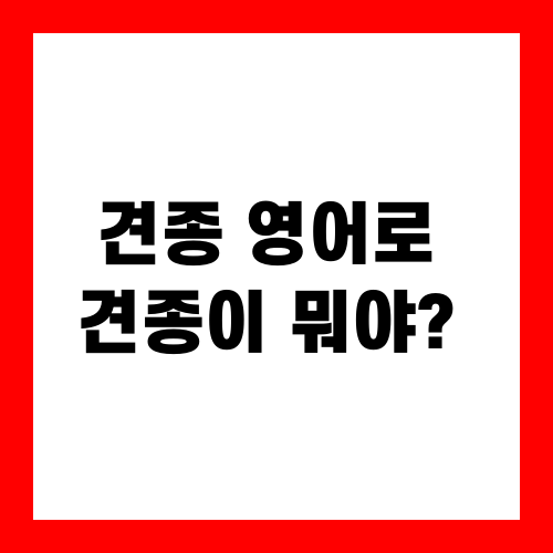 견종 영어로 표현하는 방법 : 견종이 뭐야? 영어로