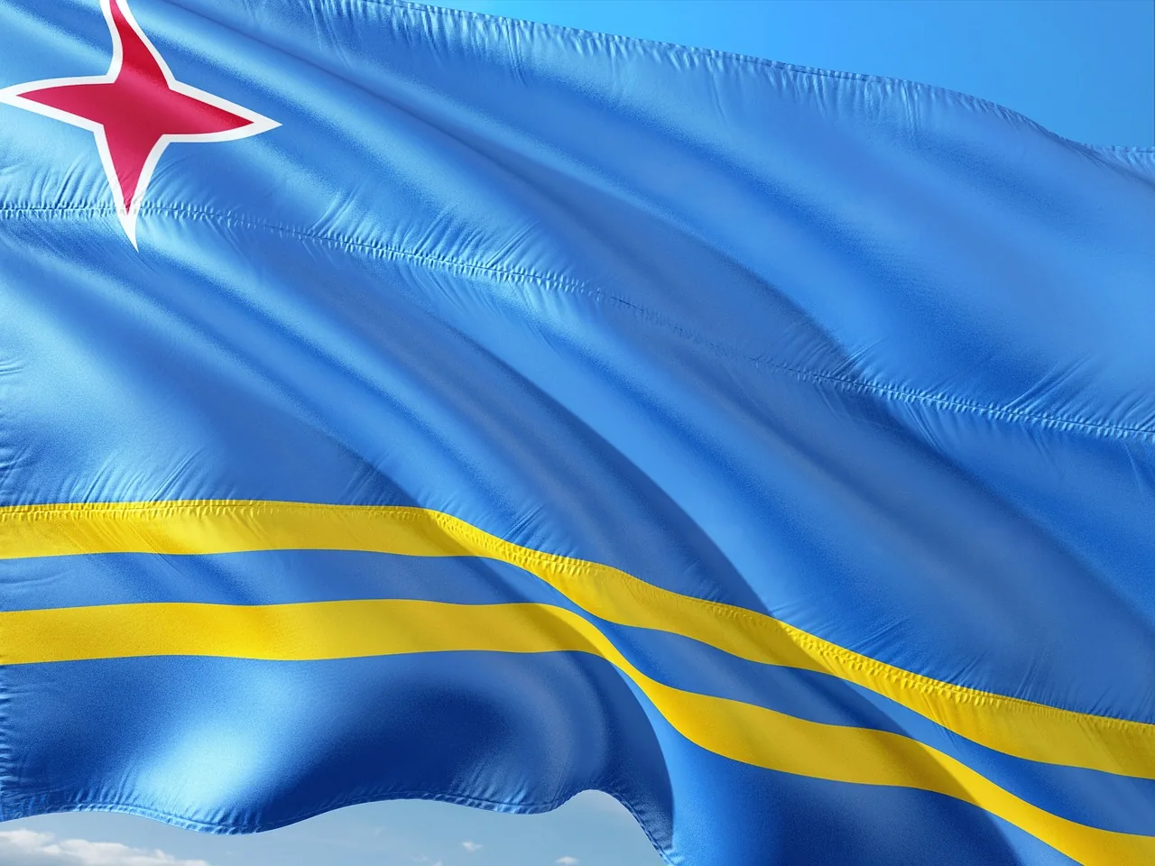 루바브 효능 효과와 부작용