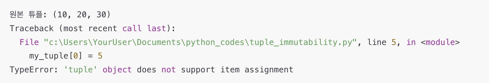 파이썬 튜플 불변성으로 인한 오류 예시
