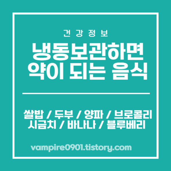 냉동보관하면 좋은 음식 보관방법