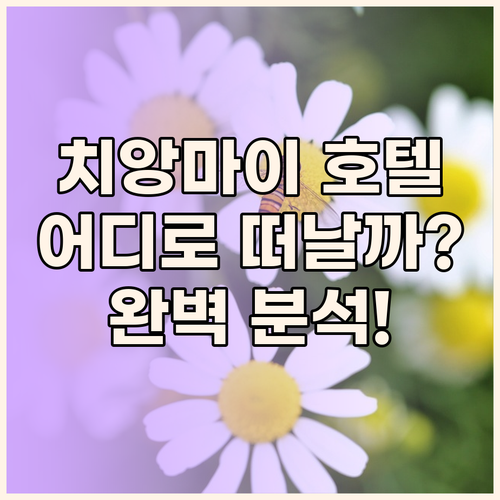 치앙마이 호텔 완벽 분석 마운틴뷰앳님
