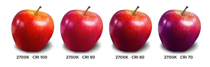 CRI지수 변화에 따른 물체의 색상 변화