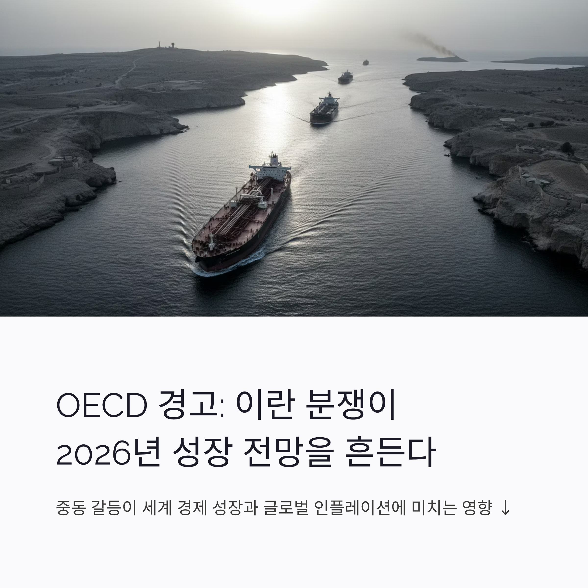 OECD 경고