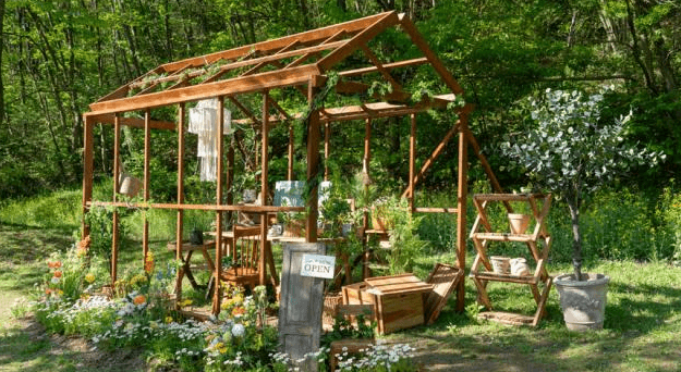 2024 화순 고인돌 가을꽃 축제