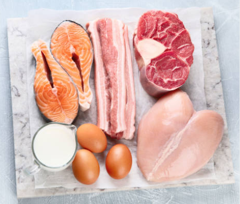 단백질은 매끼 드셔야 합니다.!