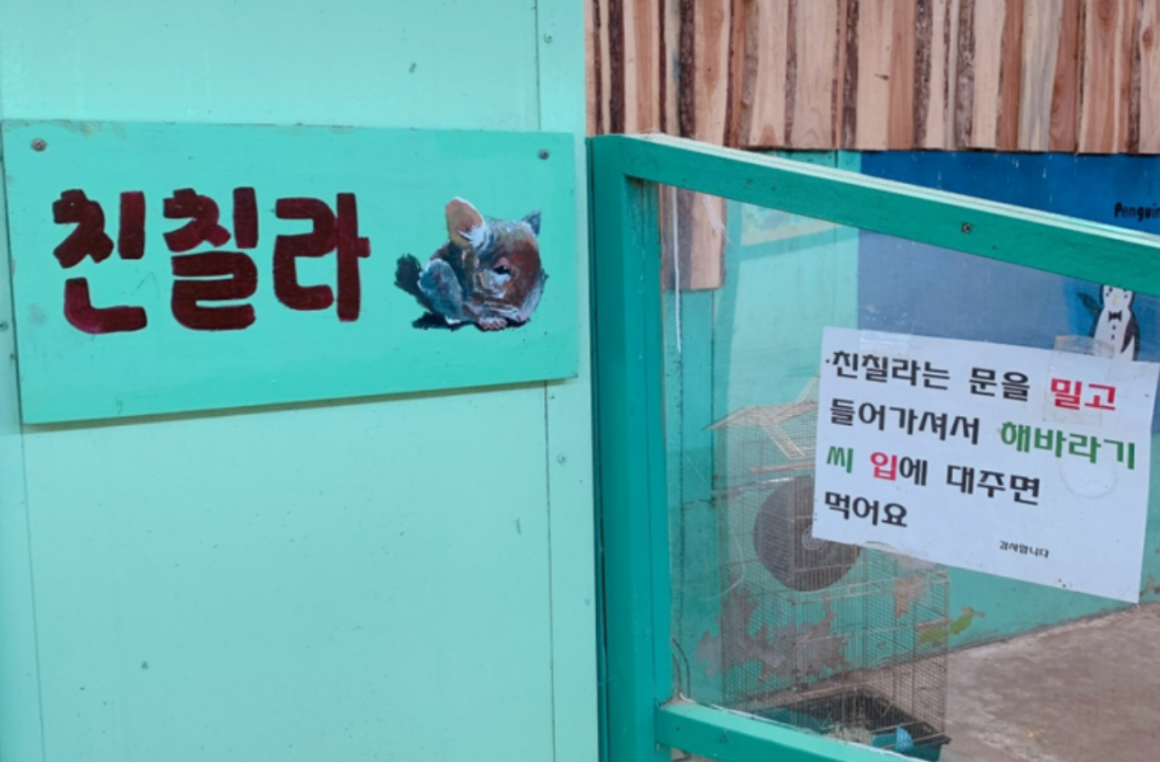 개과천선의 여행정보_강원도 홍천 동키마을 방문 후기 및 정보 (가족 나들이, 아이들과 나들이, 홍천 가볼만한 곳)