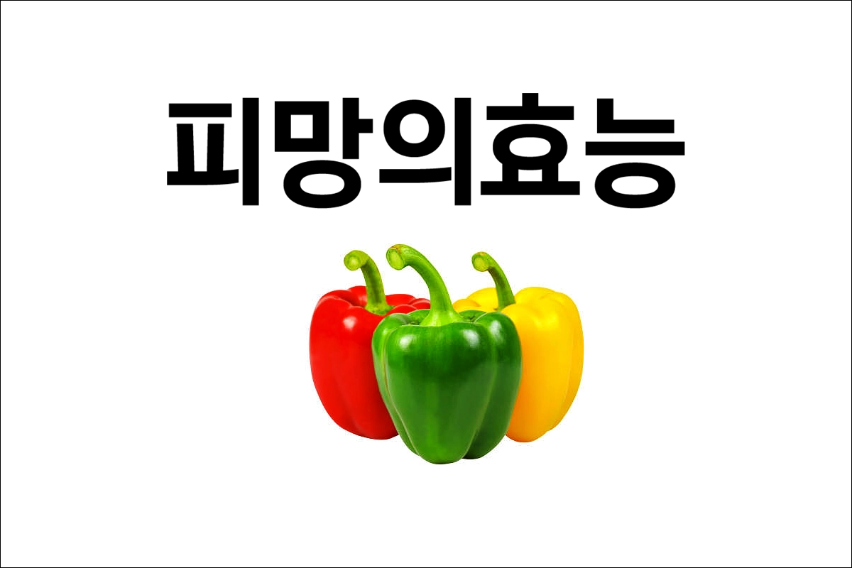 피망의 효능