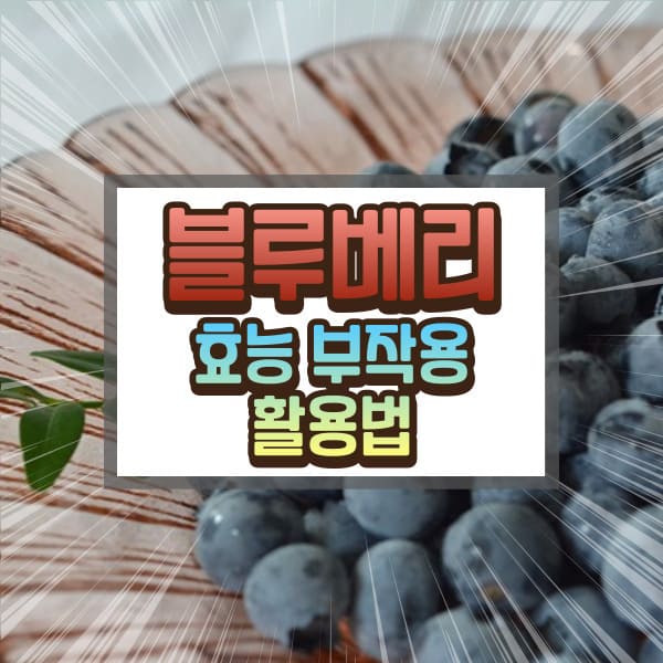 블루베리 효능 부작용에 대하여