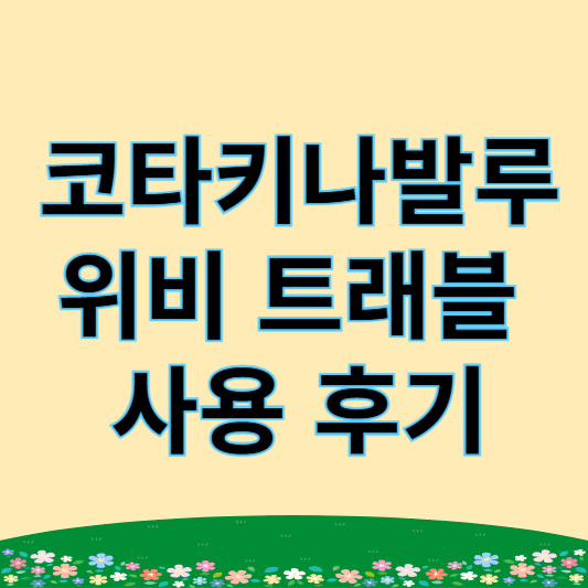 코타키나발루 위비트래블 사용후기