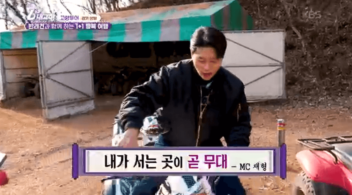 [6시내고향]경기 양평 애견동반 바베큐&middot;정원카페&middot;산악 액티비티 &amp;#39;바베큐레이브 더그림 엑스라이프&amp;#39; 예약 위치 연락처 정보