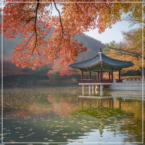 2025년 단풍 절정 시기 - 강원·경상권 단풍 명소(도심 산책형) 가상 이미지