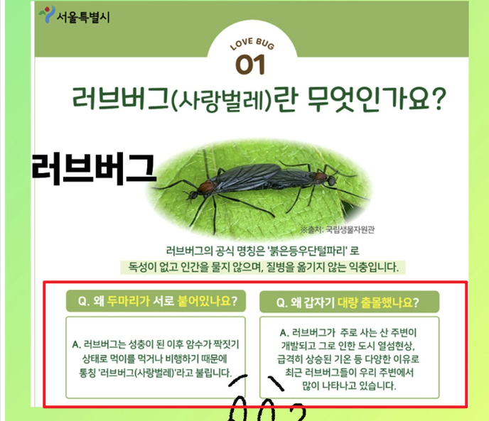 러브버그 퇴치방법 정의