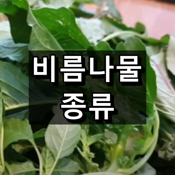 비름나물 종류 알아보기