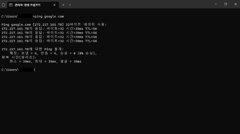 google.com 핑 결과