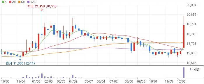 로보티즈 주가 전망 주봉 차트