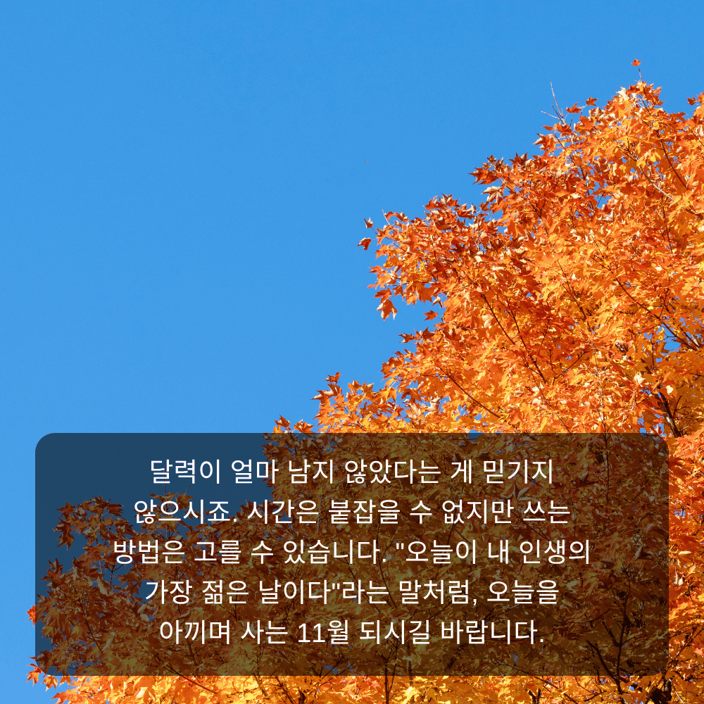 11월 인사말 이미지 18 - 오늘이 내 인생의 가장 젊은 날이다, 시간을 아끼는 문구