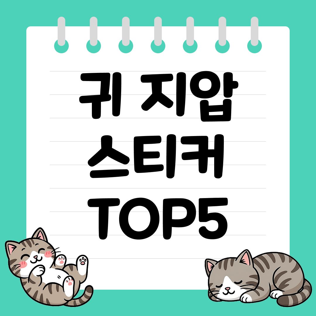 붙이기만 하면 되는 붓기 제거 귀지압스티커 추천 순위 TOP5