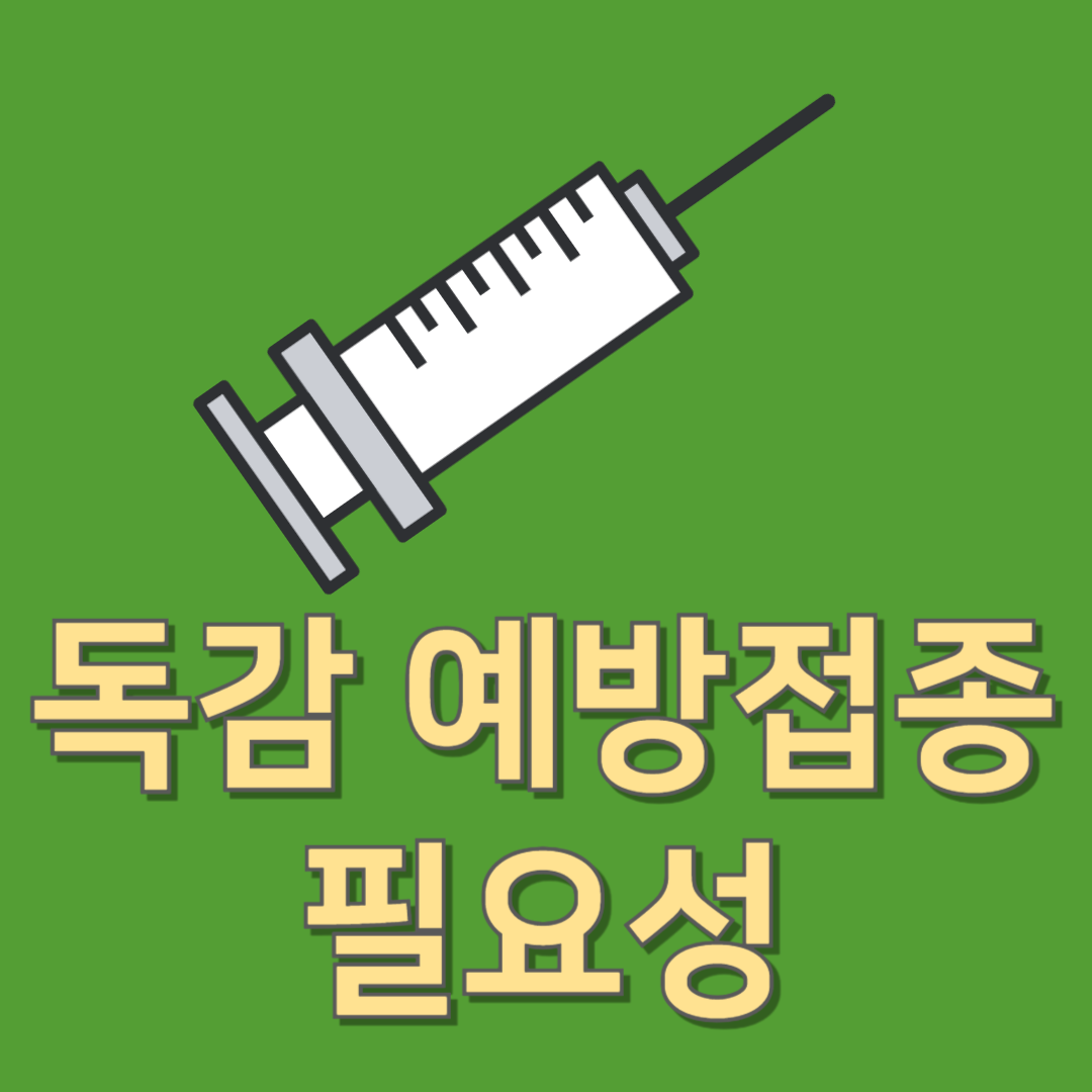 독감 예방접종의 필요성