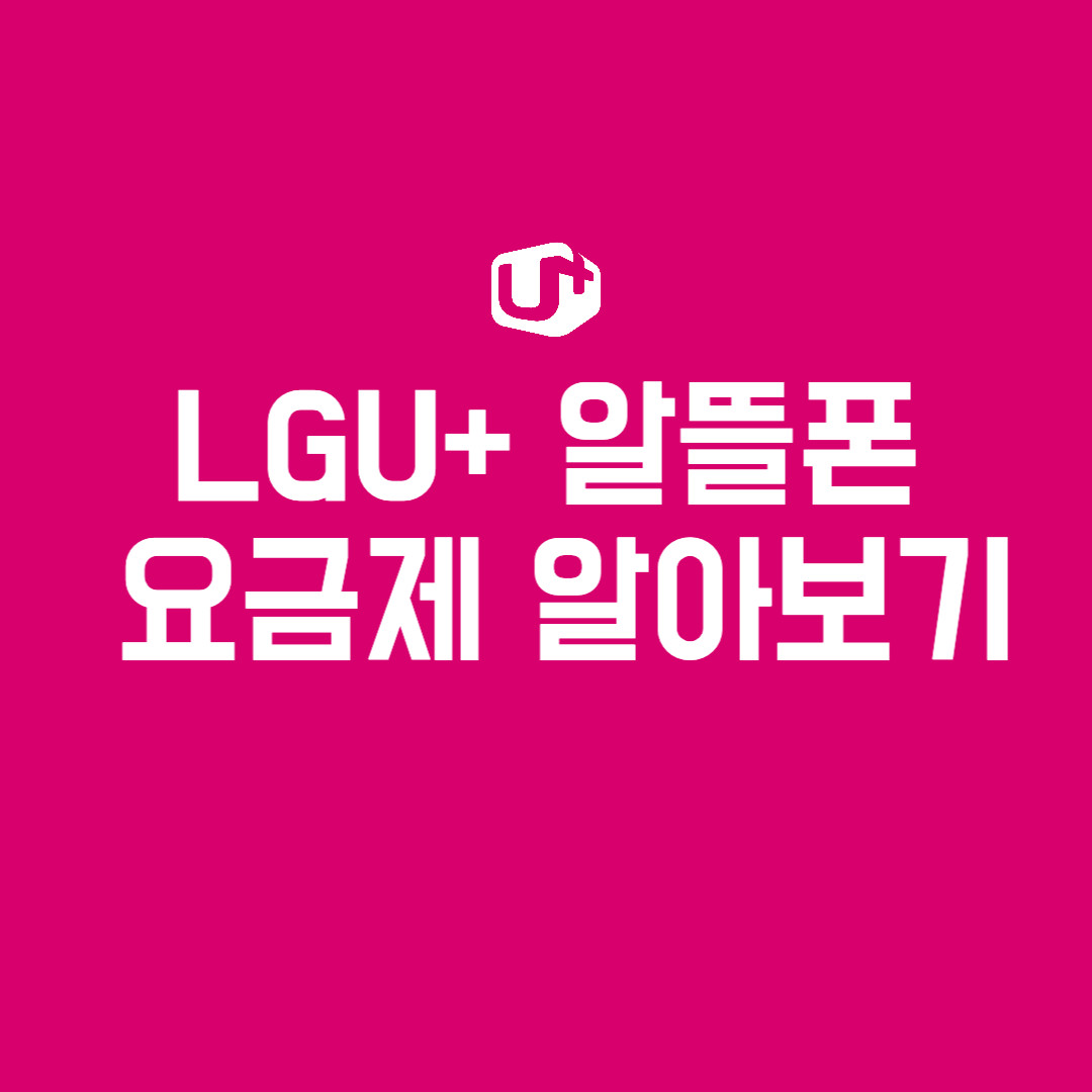 LGU 알뜰폰 요금제 이야기 알뜰폰