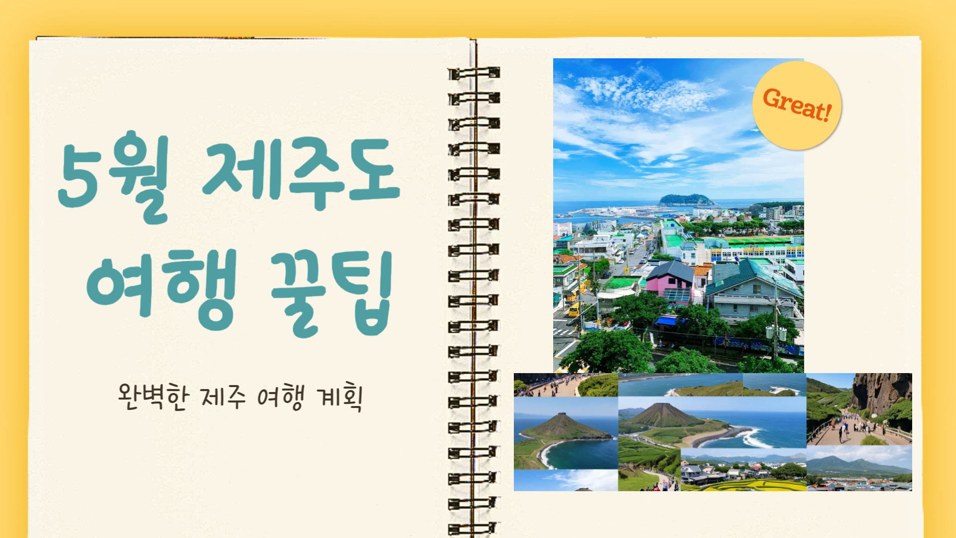 5월 제주도 여행 꿀팁 완벽한 제주 여행 계획