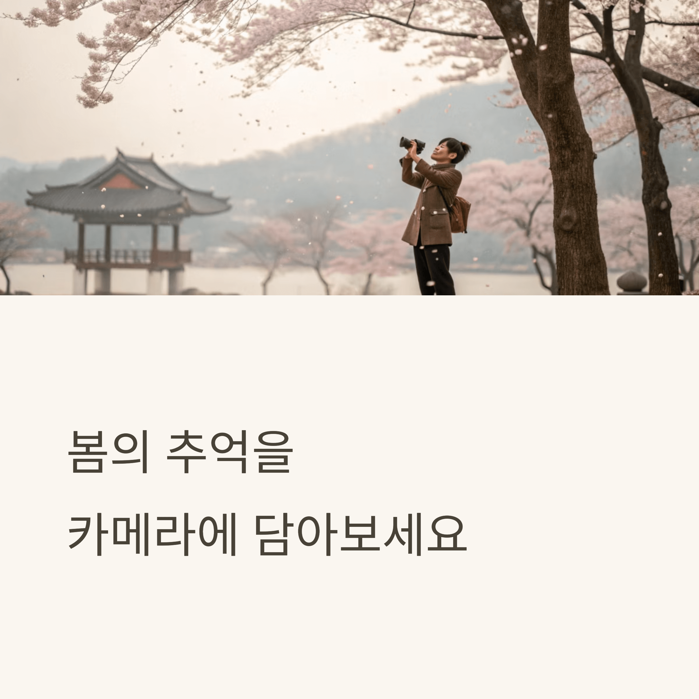봄의 추억을 카메라에 담아 보세요