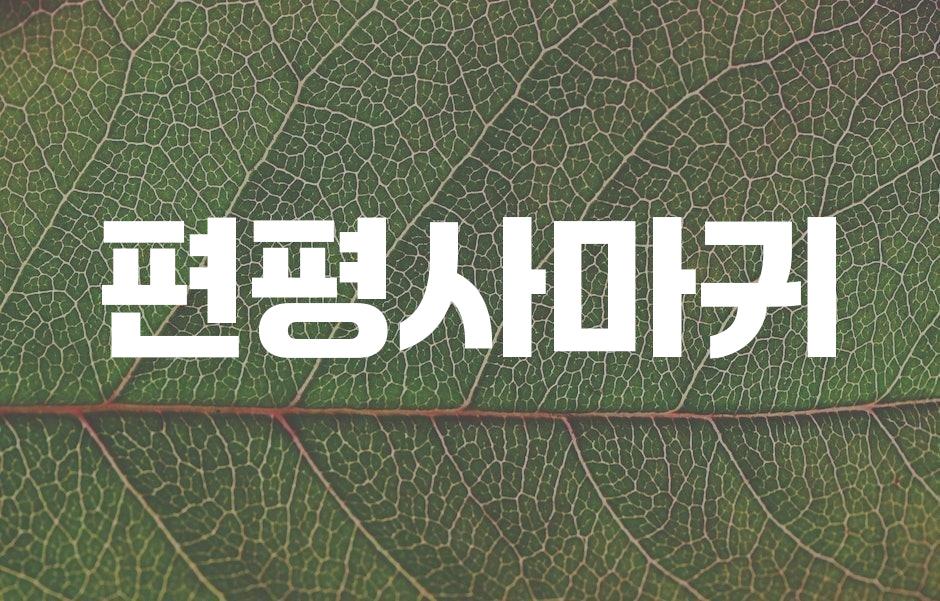 샘플 (43)
