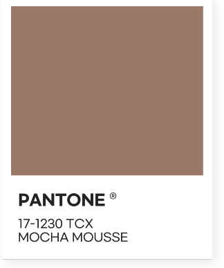 2025 올해의 팬톤 컬러_모카무스