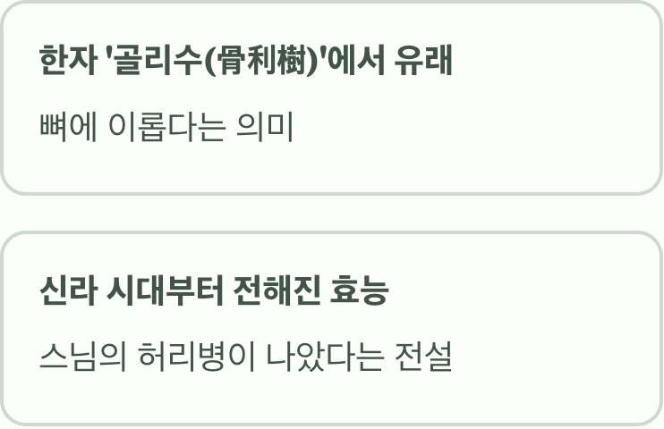 '뼈에 이로운 나무', 이름의 비밀