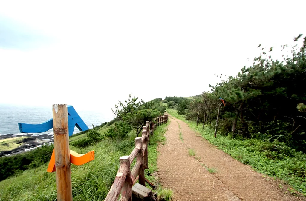 제주 올레길 1-1코스 우도봉에서 만난 파란색 올레 화살표 425km 대장정의 든든한 길잡이가 되어 주는 올레 표시 사진