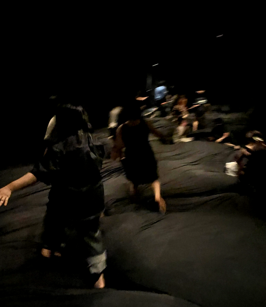 일본 도쿄 팀랩 플래닛 여행 내부진입- 소프트 블랙홀