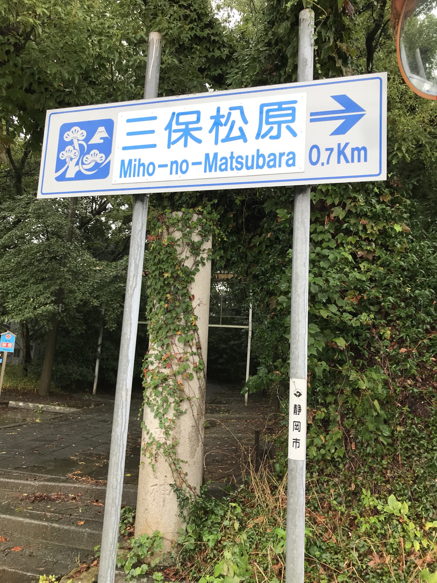 미호노마츠바라