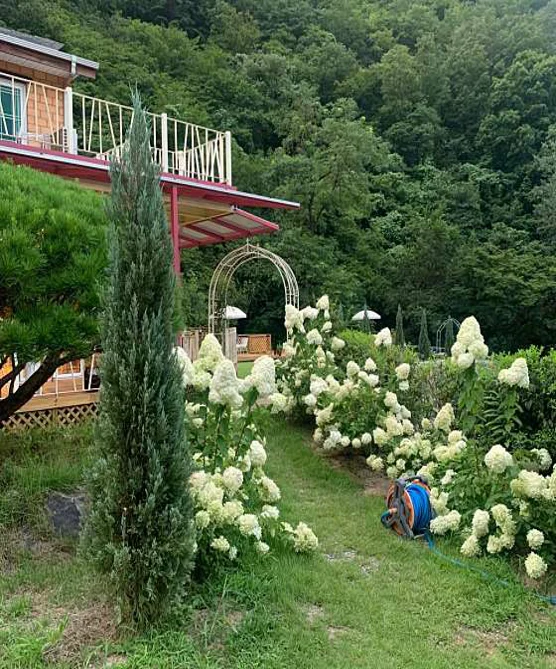 오그란이 단팥빵