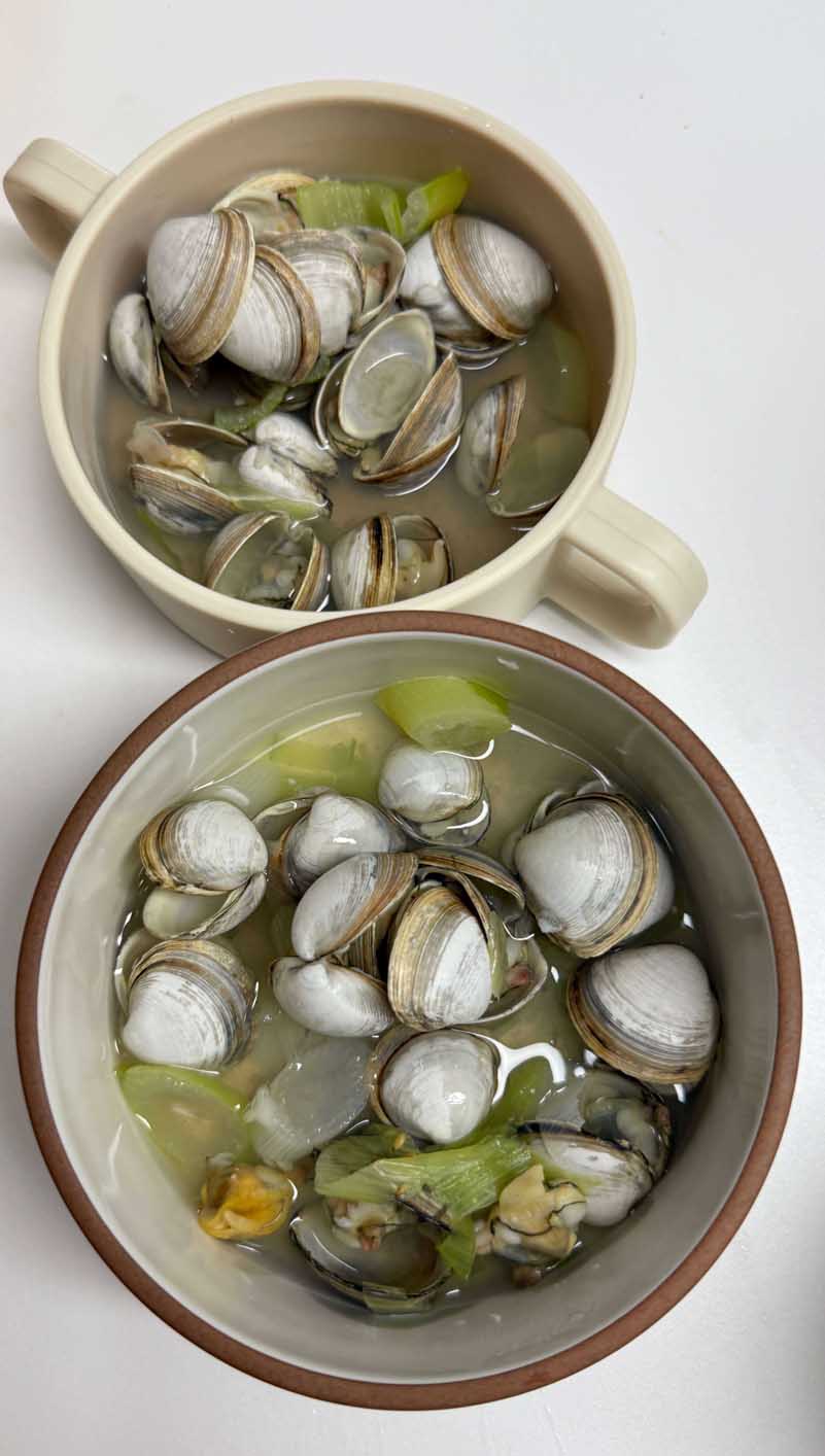 오이도 갯벌체험 동죽