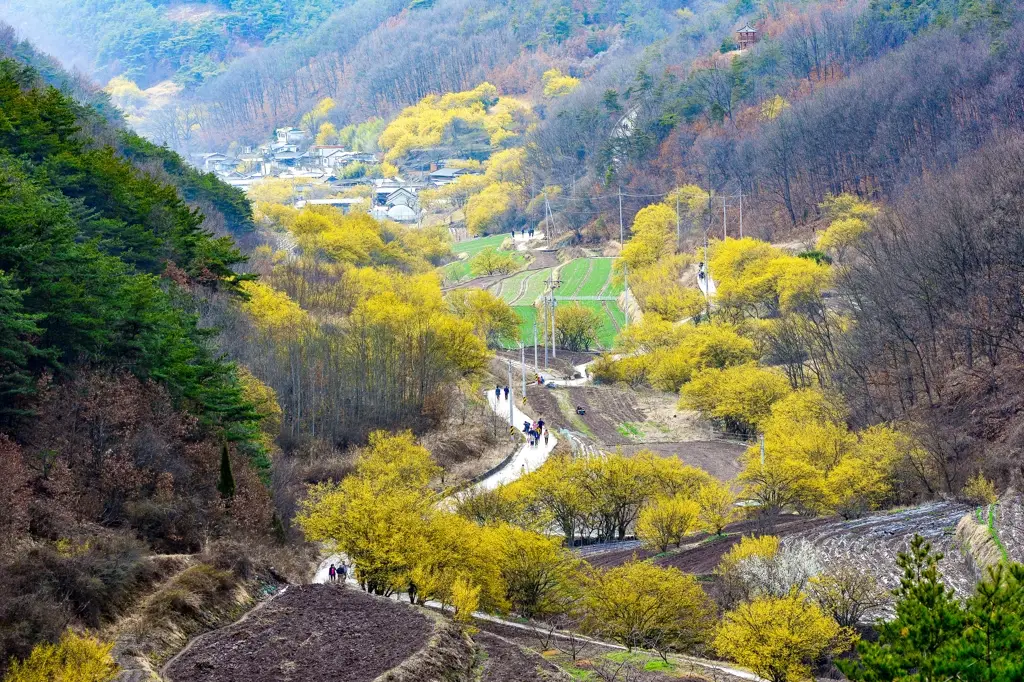 경주 봄에 가볼만한 곳