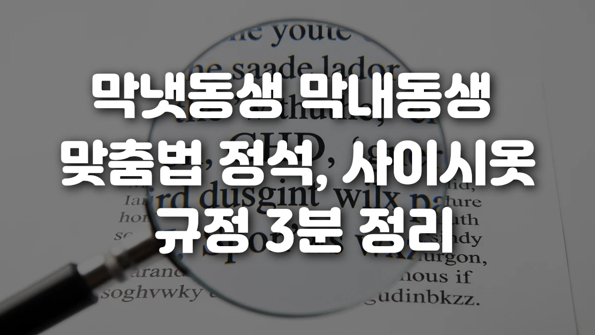 막냇동생 막내동생 맞춤법 정석 사이시옷 규정 3분 정리