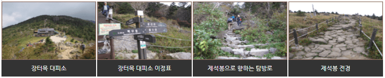 지리산 등산코스