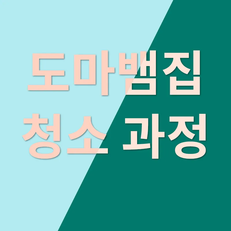 도마뱀 사육_2