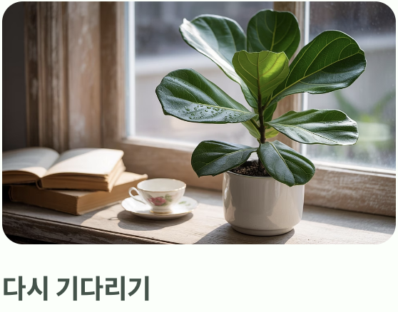 물주기의 함정, '과습'을 피하는 기술