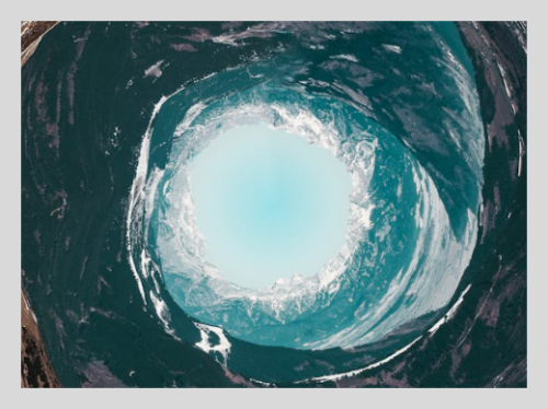 러브버그 방역법