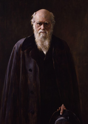 자연선택 으로 진화한다 종의 기원 찰스 다윈 Charles Darwin