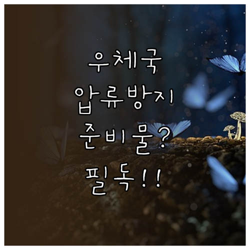 우체국 압류방지계좌 수급자 증명서 준..