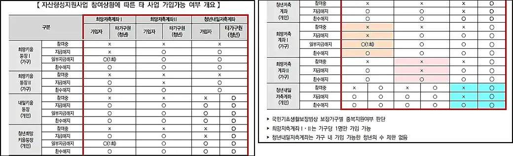 자산형성지원사업-중복불가사업